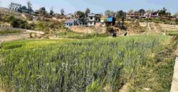 Land for sale in Sudal, Bhaktapur