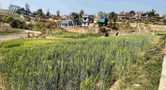 Land for sale in Sudal, Bhaktapur