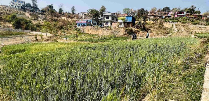 Land for sale in Sudal, Bhaktapur