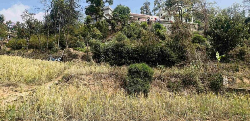 Land for sale in Purano Naikap, Kathmandu